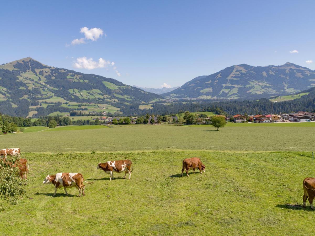 Appartement Salvenblick Hopfgarten im Brixental Exterior foto