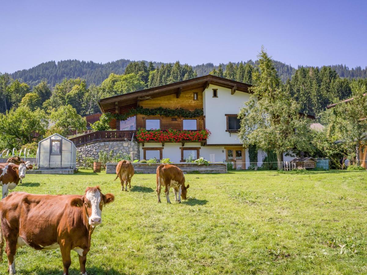 Appartement Salvenblick Hopfgarten im Brixental Exterior foto